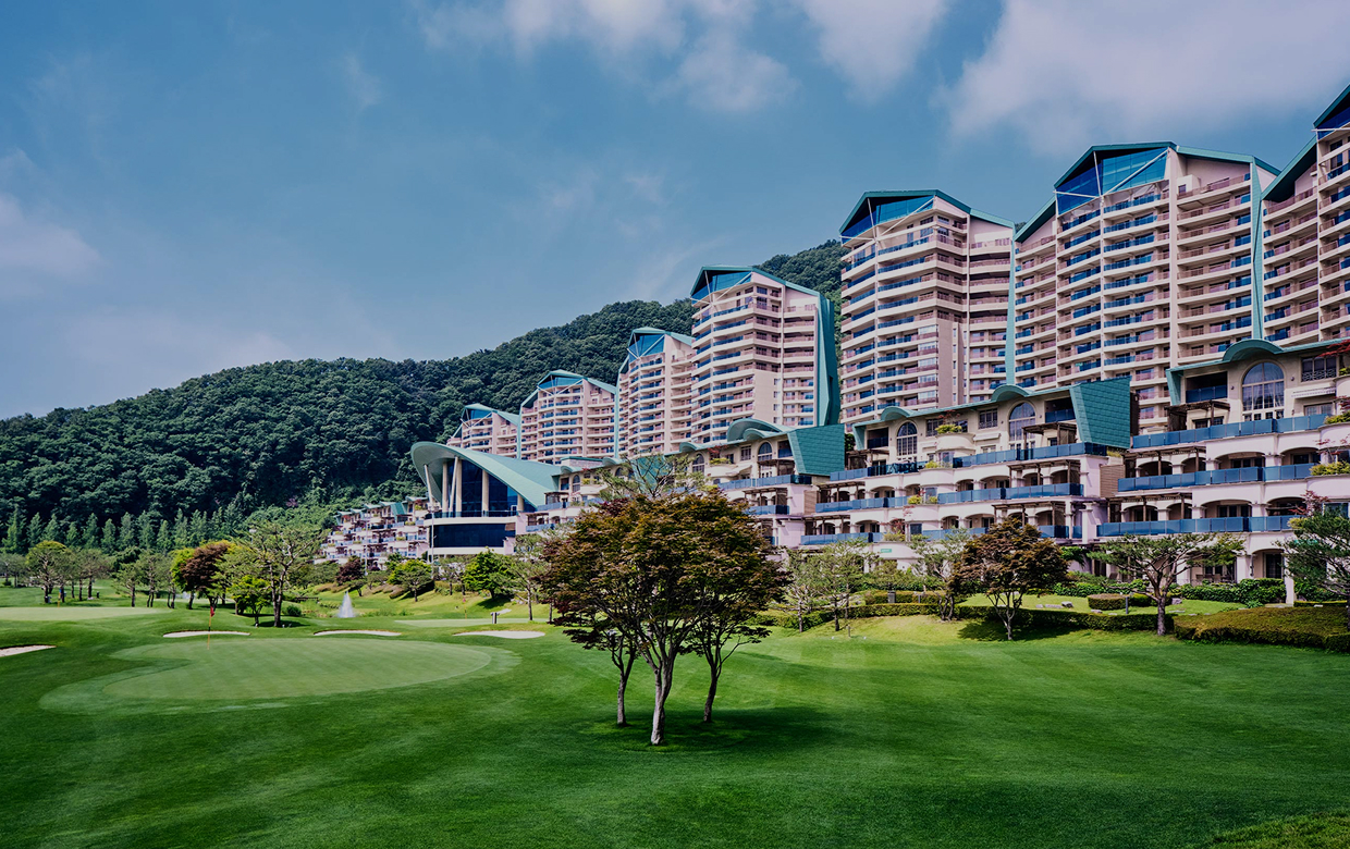 웰리힐리파크 웹사이트 화면